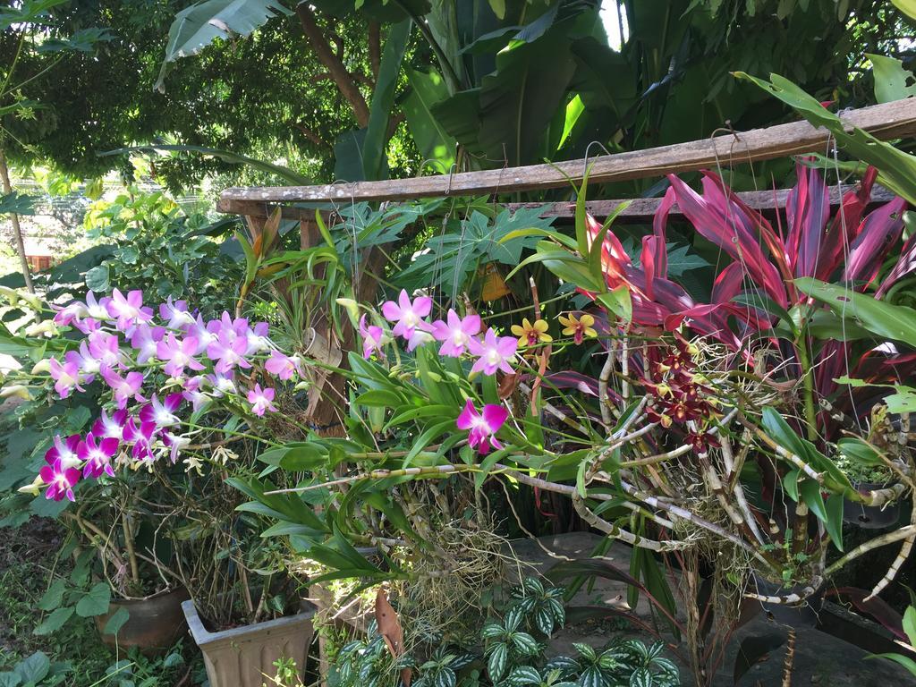 Ban Vivanh Chambres D'Hotes Luang Prabang Exteriér fotografie